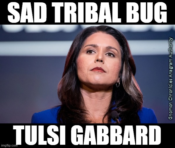 File:Sad Tribal Bug - Tulsi Gabbard.jpg