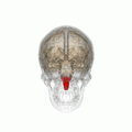 Thumbnail for version as of 13:47, 28 May 2016