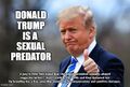 A jury in New York found that the former president sexually abused magazine writer E. Jean Carroll in the 1990s and then defamed her by branding her a liar, awarding about $5m in compensatory and punitive damages.