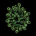 Green Tangle 2