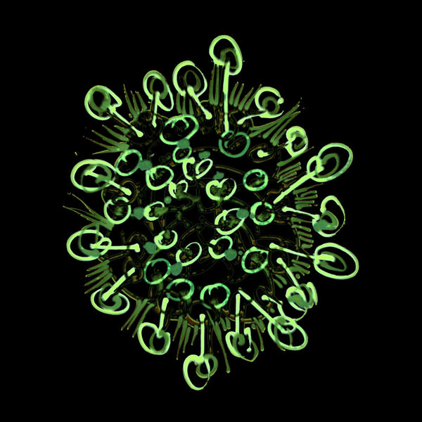 File:Green Tangle 2.jpg