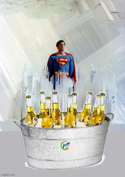 File:Beer Fridge of Solitude.jpg