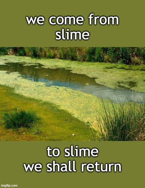 File:We come from slime.jpg