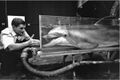 John C. Lilly and dolphin.