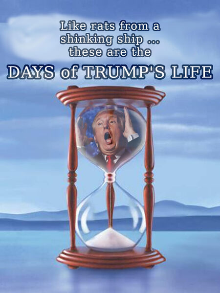File:Days of Trump's Life.jpg