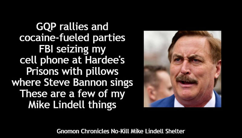 File:My Mike Lindell Things.jpg