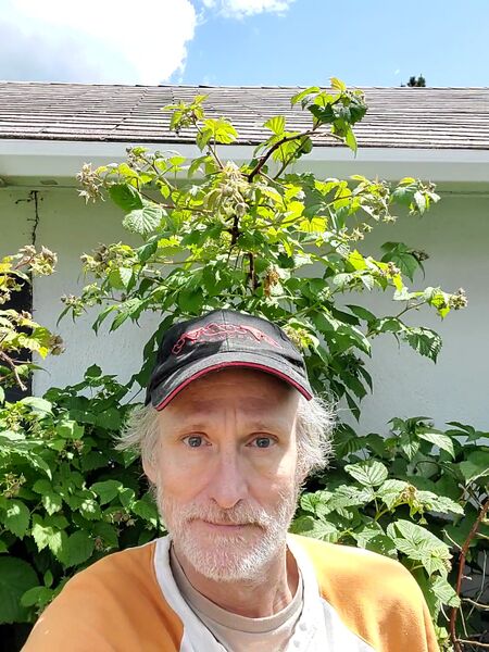 File:Karl Jones 20220701-134504.jpg