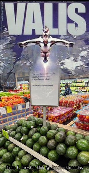File:VALIS avocado shopping.jpg