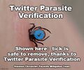 Twitter Parasite Verification.