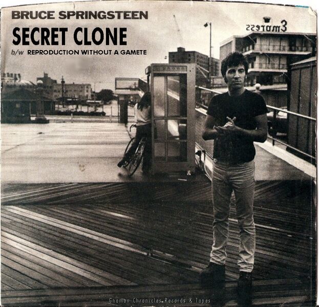 File:Secret Clone.jpg