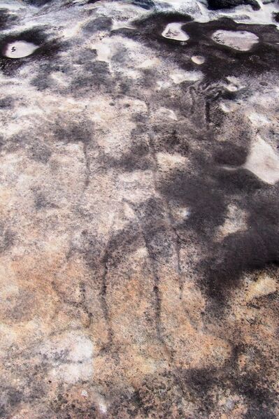 File:Petroglyph Ku-ring-gai Chase park.jpg