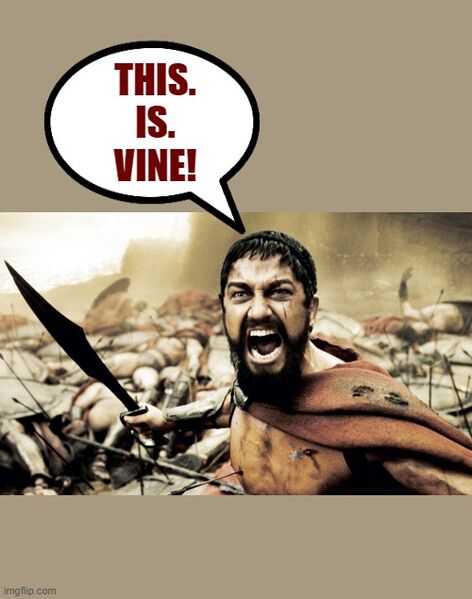 File:This is Vine (300).jpg