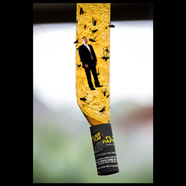 File:Flypaper Trump.jpg