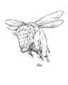 1882: Large herd of Flying bison (Bison pterobonasus) swarms from Saint Paul, Minnesota to New Minneapolis, Canada.