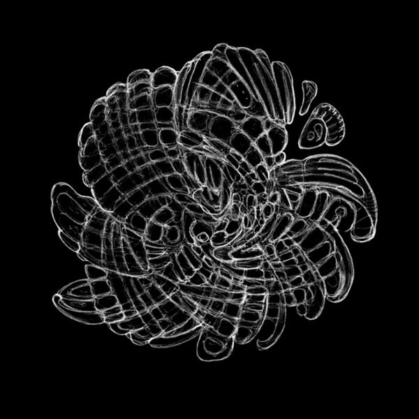 File:Spiral 2.jpg