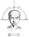 Waifs to receive court-ordered craniometry.