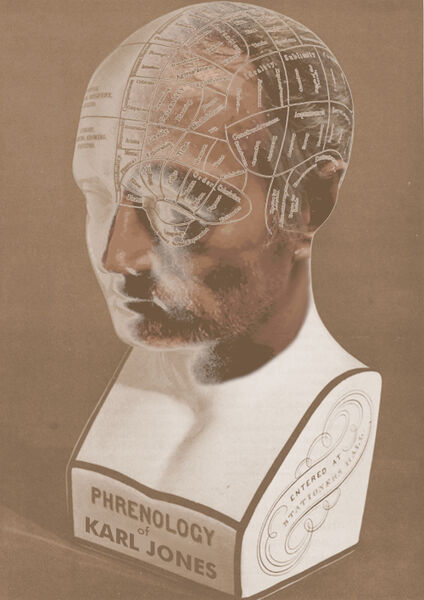 File:Karl Jones phrenology head.jpg