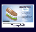 Thumbnail for version as of 08:36, 30 October 2022