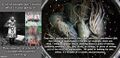 Thumbnail for version as of 18:11, 18 May 2021