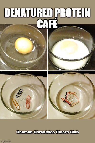 File:Denatured Protein Café.jpg
