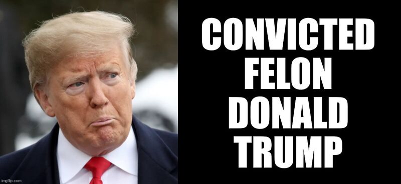 File:Convicted Felon Donald Trump.jpg