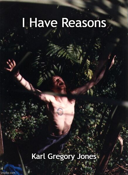File:I Have Reasons.jpg