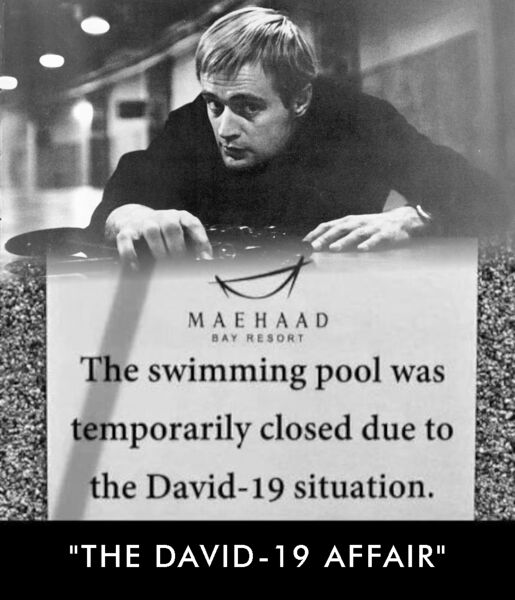 File:The David-19 Affair.jpg