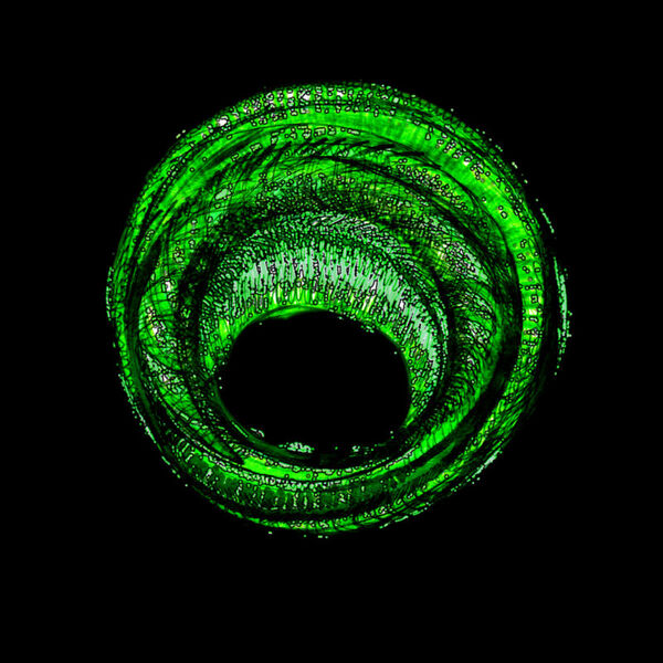 File:Green Ring.jpg