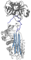 Transdimensional serpin molecule ready to commit some crimes.