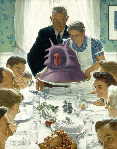 File:Freedom from Worms.jpg