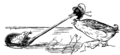 Thumbnail for version as of 05:50, 14 June 2016