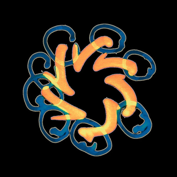 File:Spiral Rings 3.jpg