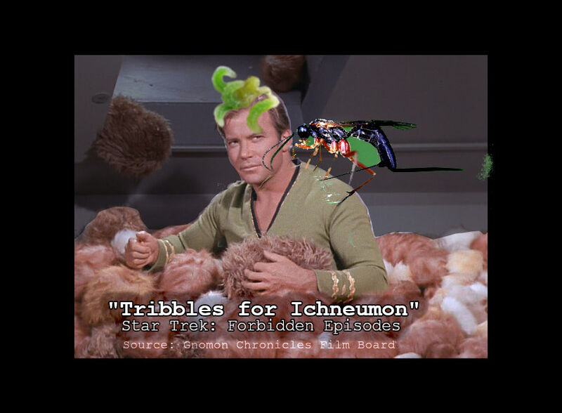 File:Tribbles for Ichneumon.jpg