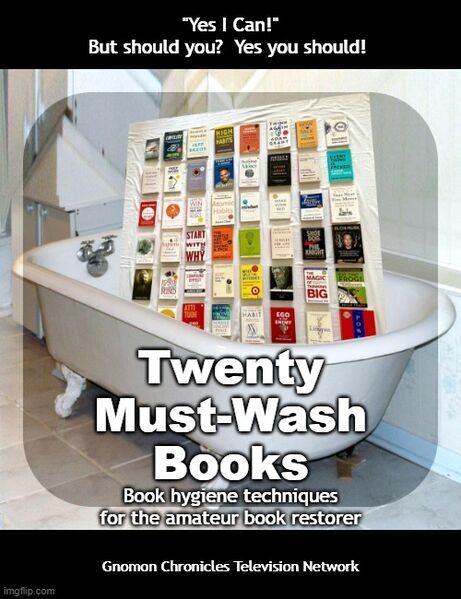 File:Twenty Must-Wash Books.jpg
