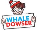 "Whale Dowser" is an anagram of "Where's Waldo?".